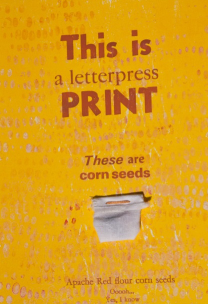 Corn Seeds Print THREE03